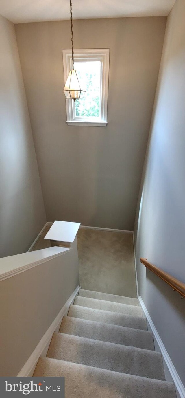 staircase with carpet flooring and baseboards