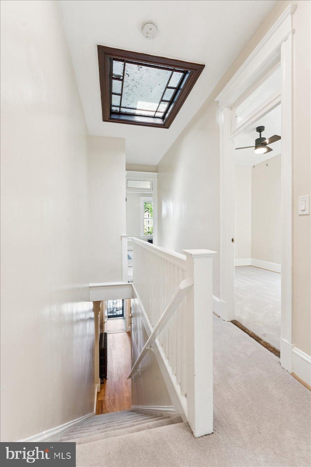 728 13th St SE, Washington, DC 20003 - stairway with carpet floors and a skylight