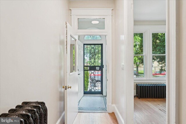 728 13th St SE, Washington, DC 20003 - entryway featuring radiator, wood finished floors, and plenty of natural light
