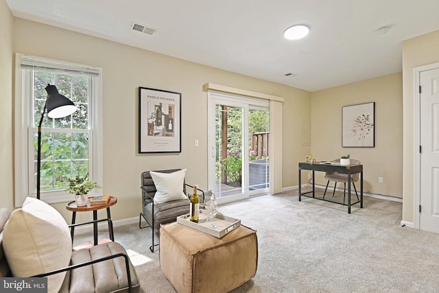 1205 Bond St, Herndon, VA 20170 - sitting room with carpet flooring