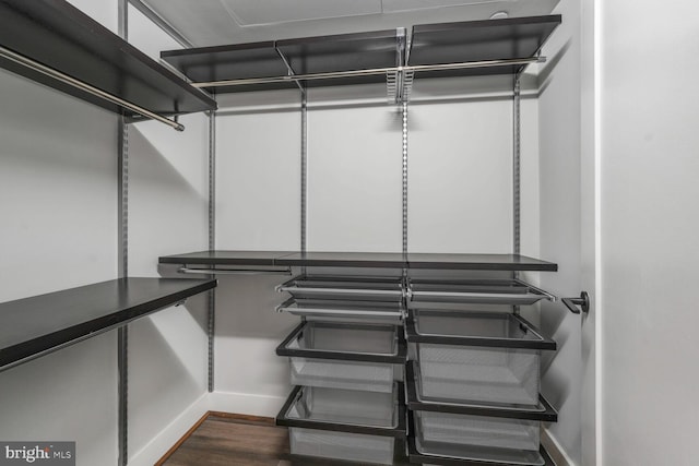 1300 4th St SE Unit 214, Washington, DC 20003 - walk in closet with dark wood finished floors