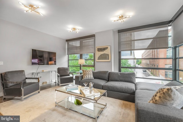 1300 4th St SE Unit 214, Washington, DC 20003 - living area with plenty of natural light and wood finished floors