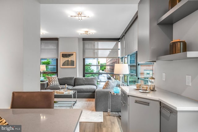 1300 4th St SE Unit 214, Washington, DC 20003 - living room featuring light wood-style flooring