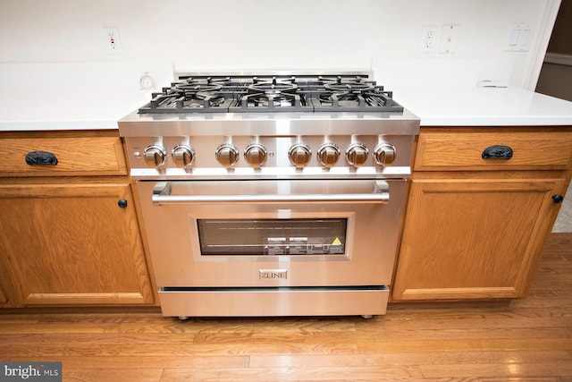 30 Dayton Cir, Fredericksburg, VA 22406 - kitchen view of high end stainless steel range, light wood finished floors, brown cabinetry, and light countertops