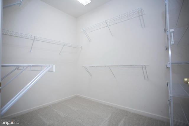 30 Dayton Cir, Fredericksburg, VA 22406 - walk in closet featuring carpet flooring