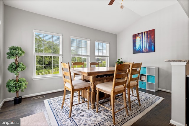 3615 Amber Way, Aberdeen, MD 21001 - dining space featuring healthy amount of natural light, lofted ceiling, baseboards, and dark wood-style floors