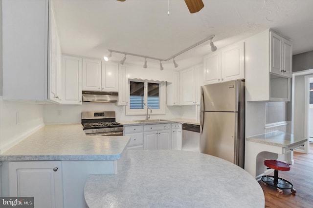 137 S Main St, Yoe, PA 17313 - kitchen with appliances with stainless steel finishes, under cabinet range hood, a sink, a peninsula, and ceiling fan