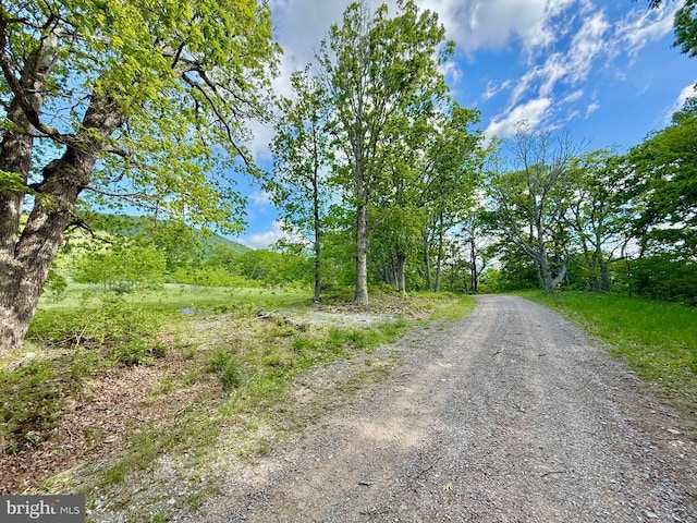 Smith Mountain Rd, Seneca Rocks, WV 26884