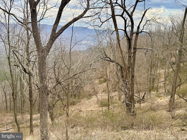 Smith Mountain Rd, Seneca Rocks, WV 26884