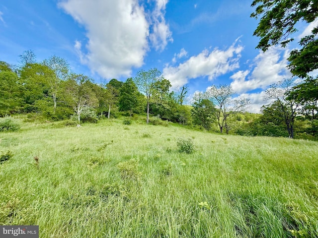 Smith Mountain Rd, Seneca Rocks, WV 26884