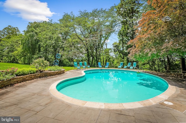 2705 Houcks Mill Rd, Monkton, MD 21111 - outdoor pool with a patio area