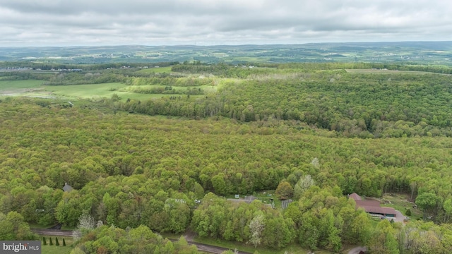 1341 Westview Xing, Grantsville, MD 21536 - aerial overview of property's location featuring a forest