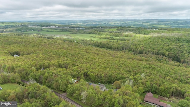 1341 Westview Xing, Grantsville, MD 21536 - drone / aerial view of a heavily wooded area