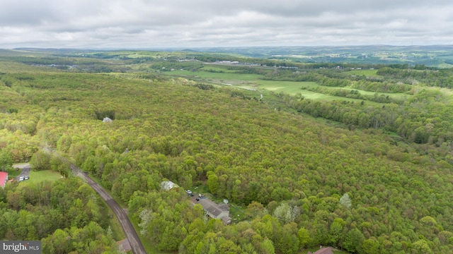 1341 Westview Xing, Grantsville, MD 21536 - bird's eye view of a forest