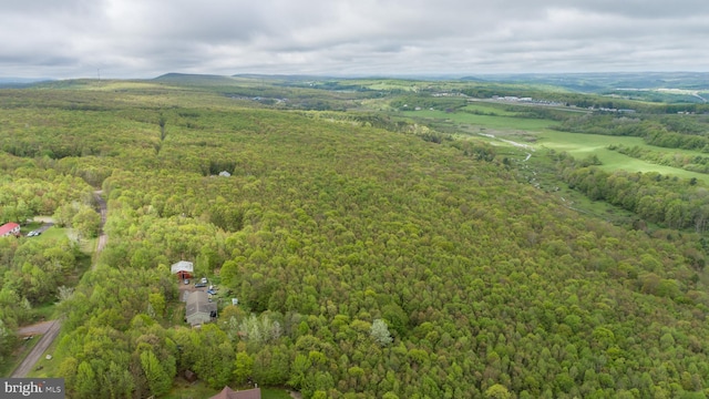 1341 Westview Xing, Grantsville, MD 21536 - drone / aerial view of a forest