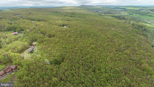 1341 Westview Xing, Grantsville, MD 21536 - view of property location featuring a forest