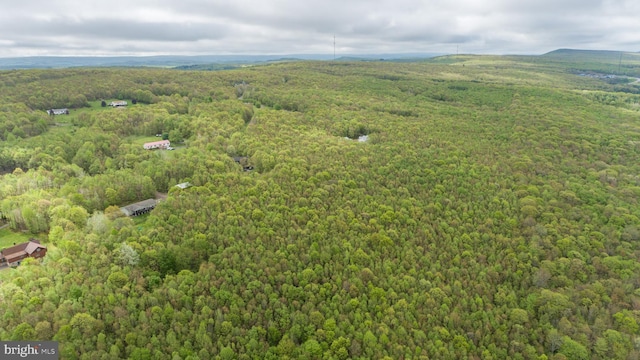 1341 Westview Xing, Grantsville, MD 21536 - drone / aerial view of a heavily wooded area