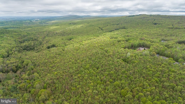 1341 Westview Xing, Grantsville, MD 21536 - bird's eye view of a forest