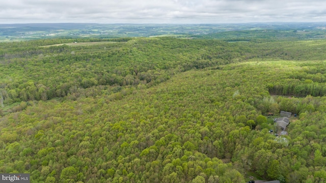 1341 Westview Xing, Grantsville, MD 21536 - bird's eye view of a heavily wooded area