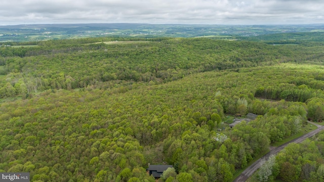 1341 Westview Xing, Grantsville, MD 21536 - drone / aerial view of a forest
