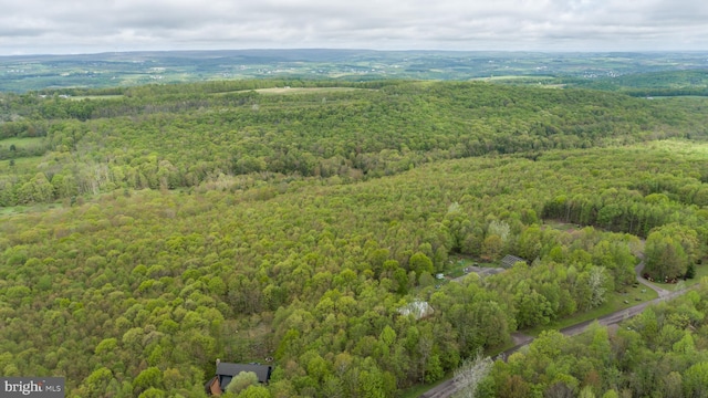 1341 Westview Xing, Grantsville, MD 21536 - bird's eye view of a forest