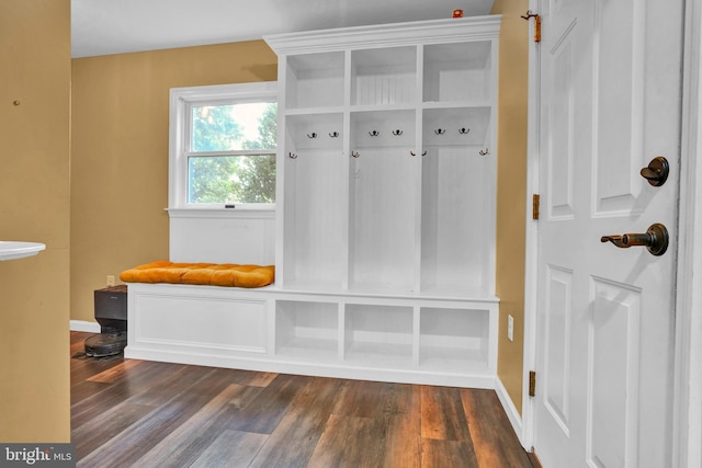 40 Steeple Ct, Reinholds, PA 17569 - mudroom featuring dark wood finished floors and baseboards