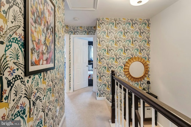 43602 Blacksmith Sq, Ashburn, VA 20147 - corridor with wallpapered walls, an upstairs landing, carpet floors, and baseboards