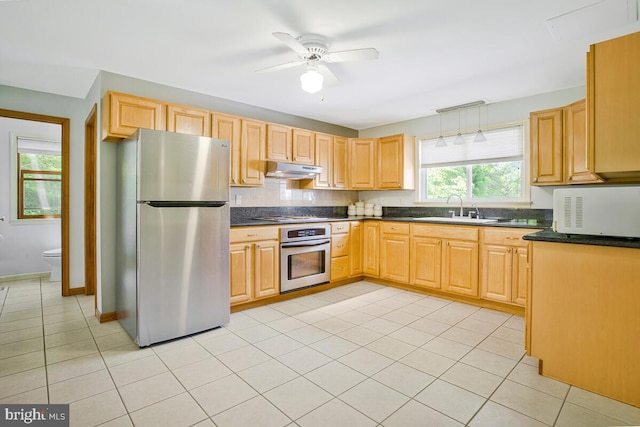 22350 Old Hundred Rd, Barnesville, MD 20838 - kitchen featuring stainless steel appliances, a sink, dark countertops, under cabinet range hood, and backsplash