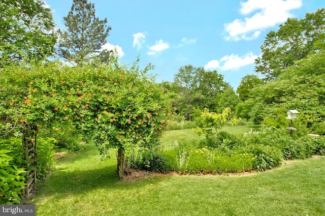 22350 Old Hundred Rd, Barnesville, MD 20838 - view of green lawn