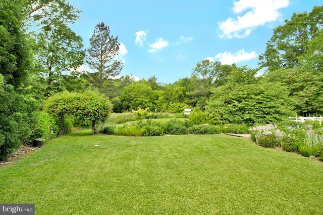 22350 Old Hundred Rd, Barnesville, MD 20838 - view of green lawn