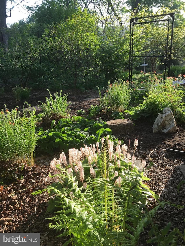 22350 Old Hundred Rd, Barnesville, MD 20838 - view of nature