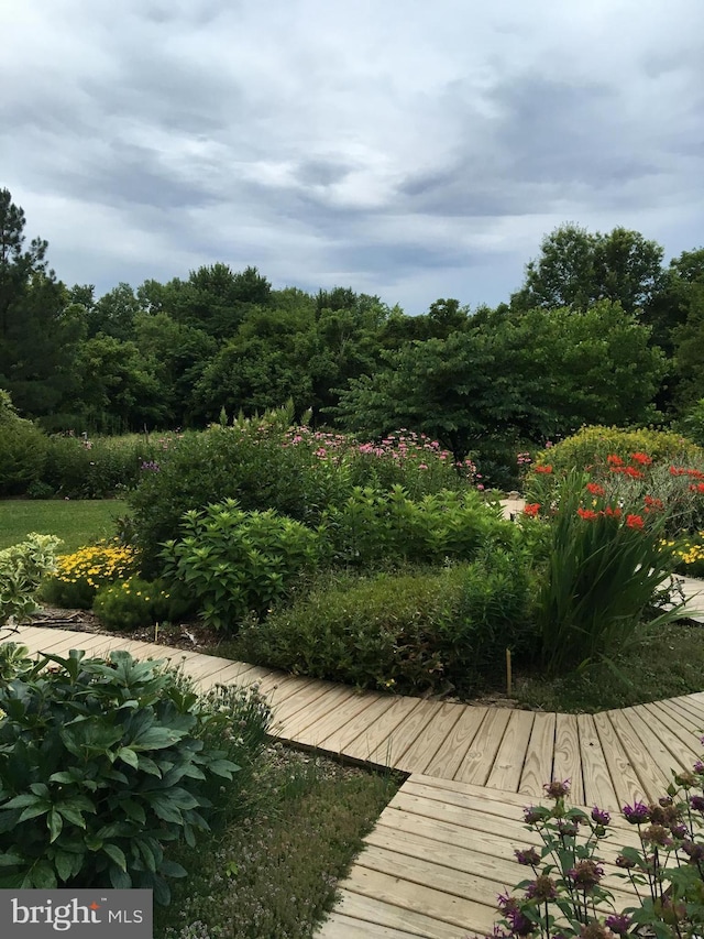 22350 Old Hundred Rd, Barnesville, MD 20838 - view of wooden deck