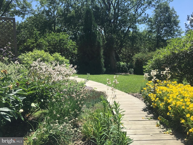 22350 Old Hundred Rd, Barnesville, MD 20838 - surrounding community featuring a lawn