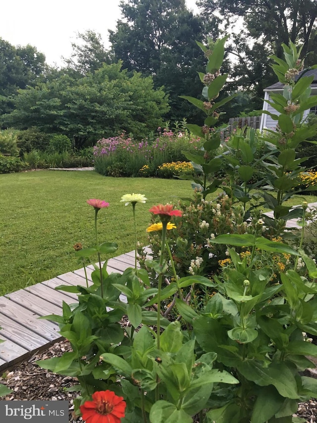22350 Old Hundred Rd, Barnesville, MD 20838 - view of green lawn