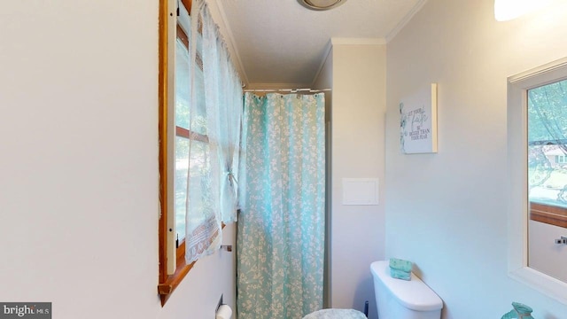 14701 Viewcrest Rd SW, Cresaptown, MD 21502 - bathroom featuring ornamental molding, a shower with curtain, and toilet