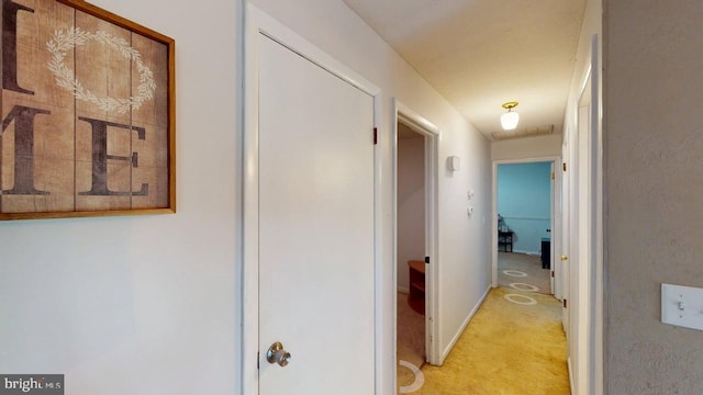 14701 Viewcrest Rd SW, Cresaptown, MD 21502 - hallway with light colored carpet and baseboards