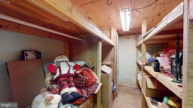 14701 Viewcrest Rd SW, Cresaptown, MD 21502 - view of storage area