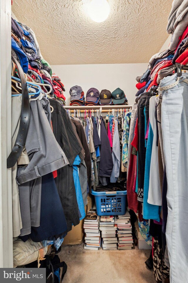 721 Canterbury Dr, Ruther Glen, VA 22546 - spacious closet with carpet floors