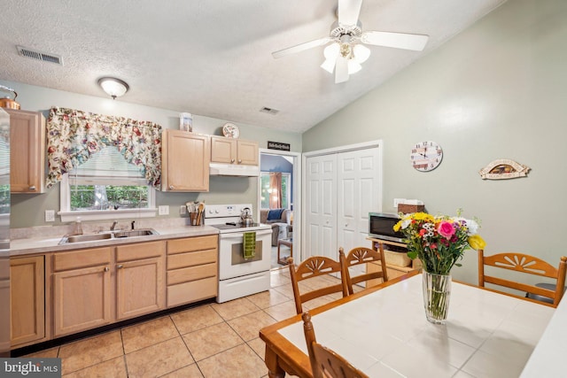 721 Canterbury Dr, Ruther Glen, VA 22546 - kitchen featuring a sink, white electric range, stainless steel microwave, under cabinet range hood, and lofted ceiling