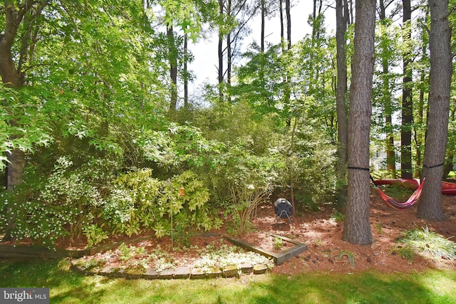 6 Quincy Ct, Ocean Pines, MD 21811 - view of yard