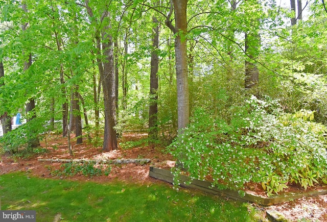 6 Quincy Ct, Ocean Pines, MD 21811 - view of yard
