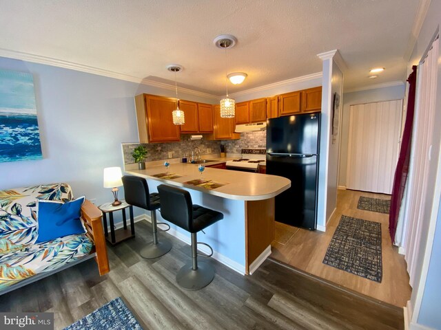 202 32nd St Unit 309, Ocean City, MD 21842 - kitchen with freestanding refrigerator, under cabinet range hood, white electric range oven, a sink, and dark wood-type flooring