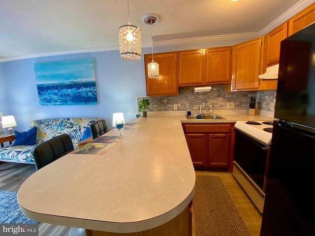 202 32nd St Unit 309, Ocean City, MD 21842 - kitchen with freestanding refrigerator, white electric range, under cabinet range hood, a sink, and a peninsula