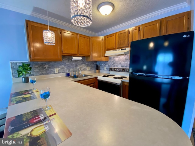 202 32nd St Unit 309, Ocean City, MD 21842 - kitchen featuring freestanding refrigerator, under cabinet range hood, a sink, electric stove, and light countertops