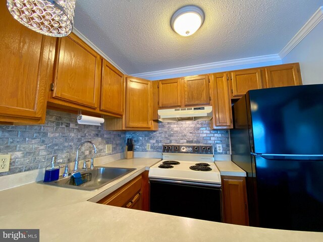202 32nd St Unit 309, Ocean City, MD 21842 - kitchen with freestanding refrigerator, range with electric cooktop, under cabinet range hood, a sink, and crown molding