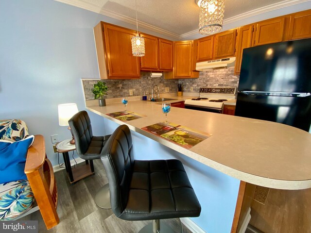 202 32nd St Unit 309, Ocean City, MD 21842 - kitchen with electric range, under cabinet range hood, freestanding refrigerator, a sink, and light countertops