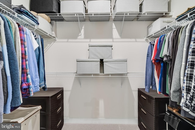 10104 Dressage Dr, Upper Marlboro, MD 20772 - view of walk in closet
