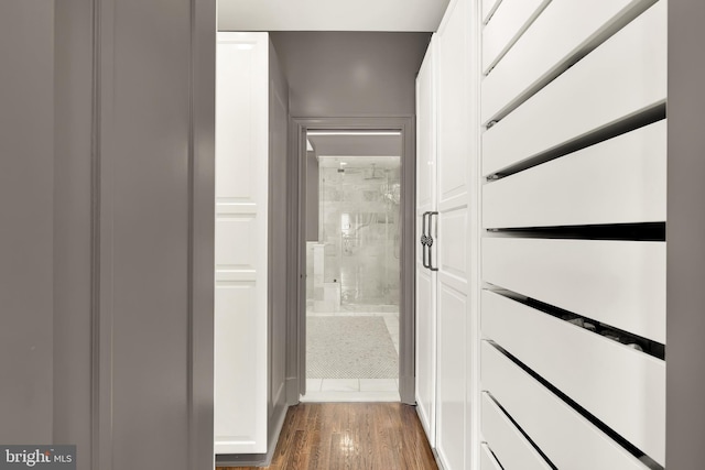 hallway featuring dark wood-style flooring