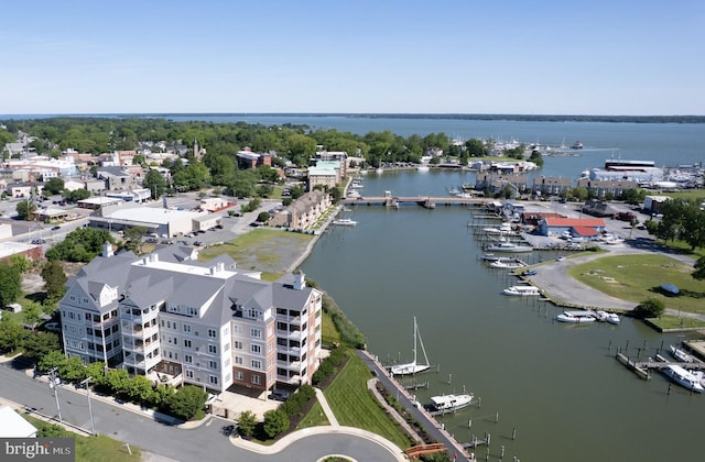301 Muir St Unit 201, Cambridge, MD 21613 - bird's eye view of a nearby body of water