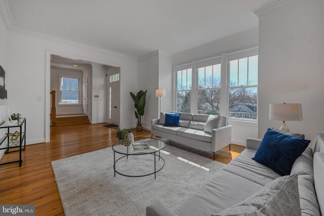 5127 Cathedral Ave NW, Washington, DC 20016 - living room with crown molding, wood finished floors, and baseboards